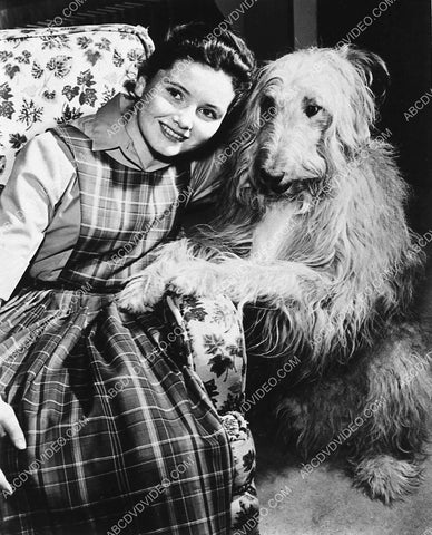 Noreen Corcoran and the dog TV Bachelor Father 3105-17