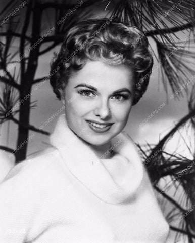 Martha Hyer beautiful portrait in sweater 3369-32