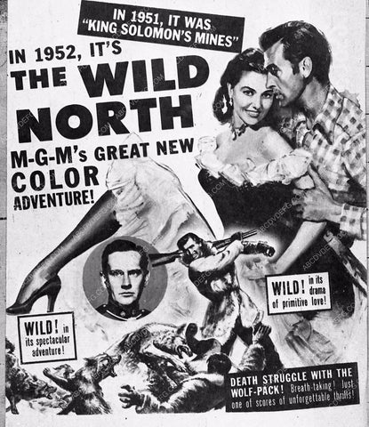 ad slick The Wild North 3373-01