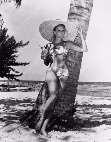 Yvette Mimieux sexy in bikini under palm tree and a tropical drink 3406-14