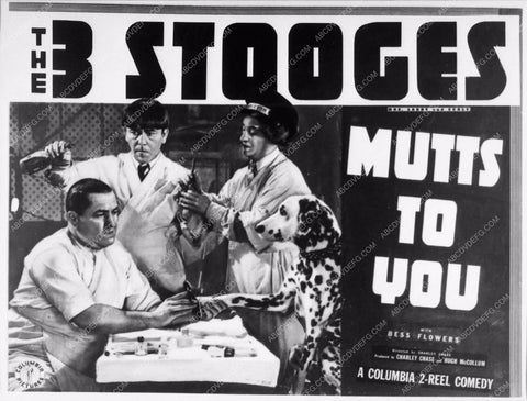 Moe Larry and Curly The Three Stooges Mutts To You 3506-21