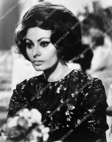 beautiful Sophia Loren portrait 3533-33