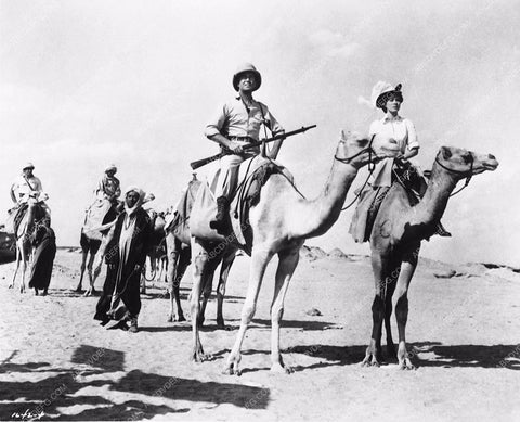Valley of the Kings cast 3544-13