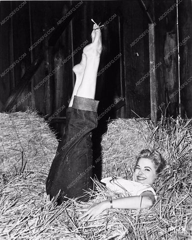 Martha Hyer in barn cheesecake 3544-24