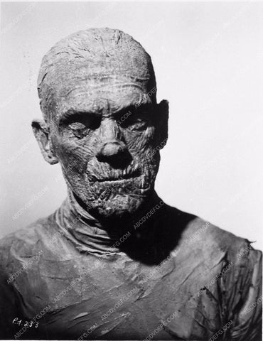 Boris Karloff The Mummy 3590-23