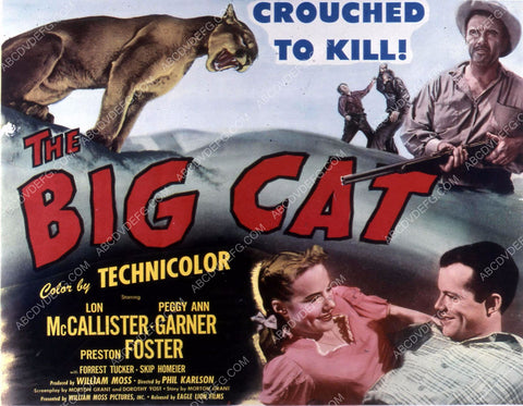 Lon McCallister Peggy Ann Garner film The Big Cat 35m-10422