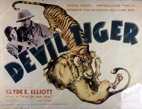 jungle adventure film Devil Tiger 35m-10777