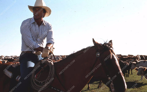 Patrick Duffy on horseback TV Dallas 35m-10981