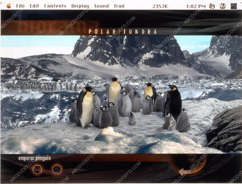 ABC's Wild World of Animals featuring the emperor penguins 35m-11120