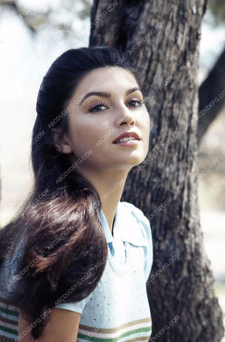 lovely Victoria Principal outdoors portrait 35m-11248