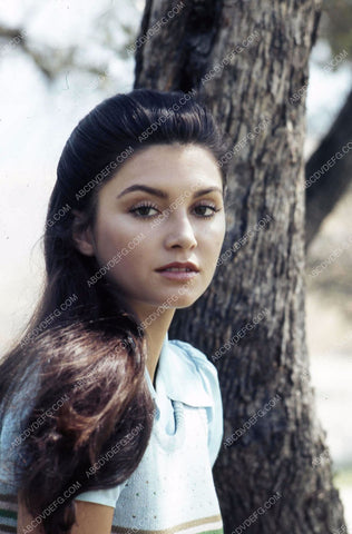 Victoria Principal under the trees 35m-11253