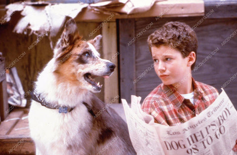 Brandon Gilberstadt & Rowdy the dog Nickelodeon TV 100Deeds for Eddie McDowd 35m-11480