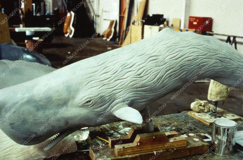 special fx model of whale TVM Moby Dick 35m-11624