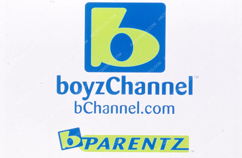 TV Fox Family Channel boyzchannel logo 35m-11980