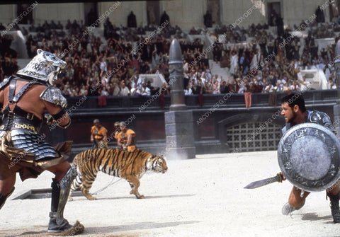 Russel Crowe in the arena with the tiger film Gladiator 35m-12507