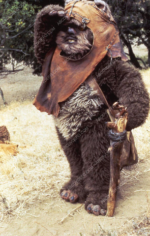 fuzzy ewok TVM The Ewok Adventure 35m-13032