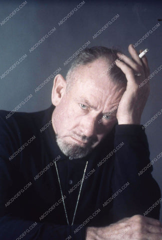 author John Steinbeck portrait 35m-13035