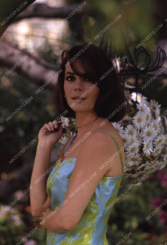 Natalie Wood outdoors shoot 35m-13167