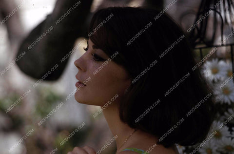 Natalie Wood outdoors shoot 35m-13168