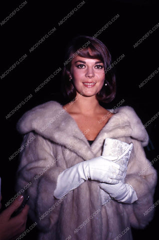always beautiful Natalie Wood 35m-13208