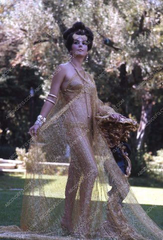 Natalie Wood shows off her shapely body in sheer bikini and wrap 35m-13223