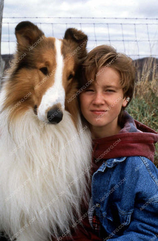Tom Guiry and the dog film Lassie 35m-13603
