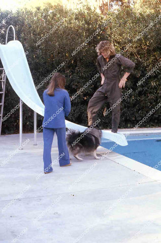 exclusive Leif Garrett sister Dawn Lyn play w dog by swimming pool in backyard 35m-14242