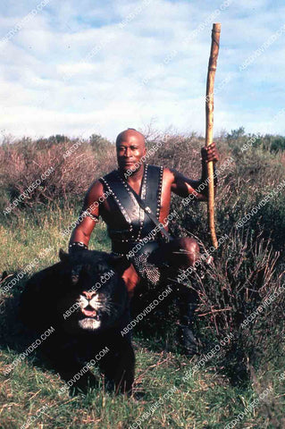 John Amos and his black lion film The Beastmaster 35m-14363