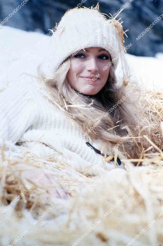 gorgeous Susan Anton laying in the hay 35m-15100