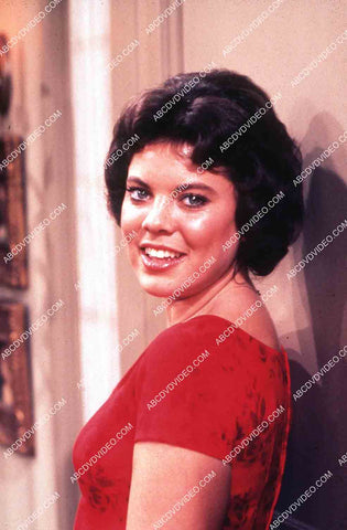 cute Erin Moran portrait 35m-15971