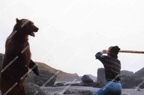 Robert Logan fighting the bear film The Sea Gypsies aka Shipwreck 35m-16223
