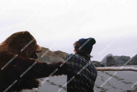 Robert Logan fighting the bear film The Sea Gypsies aka Shipwreck 35m-16225
