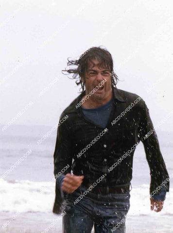 Robert Logan film The Sea Gypsies aka Shipwreck 35m-16226