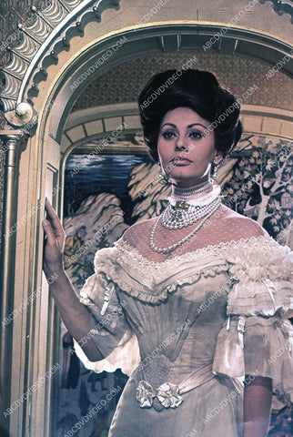 beautiful Sophia Loren portrait 35m-16851