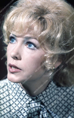 Stella Stevens portrait 35m-17053