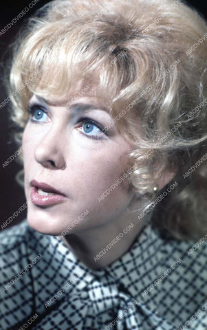 Stella Stevens portrait 35m-17056