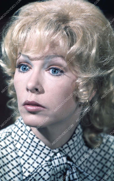 17057 Stella Stevens portrait 35m-17057 – ABCDVDVIDEO