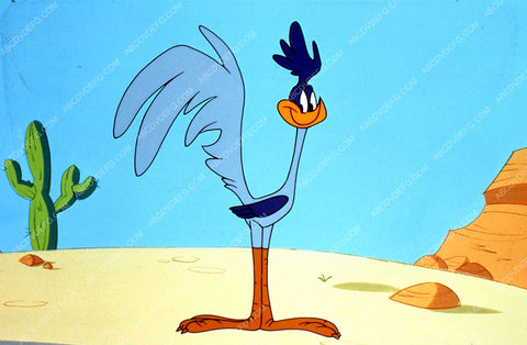 animated character Road Runner 35m-1814