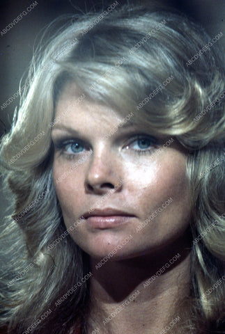 beautiful Cathy Lee Crosby portrait 35m-2398