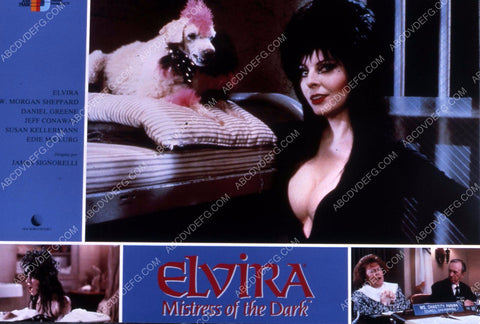 sexy Elvira Mistress of the Dark 35m-3921