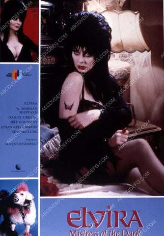 sexy Elvira Mistress of the Dark 35m-3923