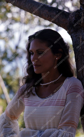 beautiful Pamela Hensley outdoors portrait 35m-5143