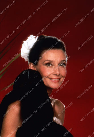 Audrey Hepburn portrait 35m-5167