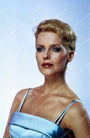 beautiful Cheryl Ladd portrait 35m-5709