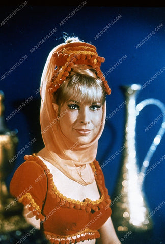 beautiful Barbara Eden TV I Dream of Jeannie 35m-5807