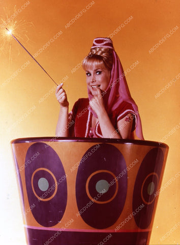beautiful Barbara Eden TV I Dream of Jeannie 35m-5808