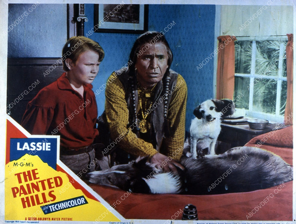 Lassie In The Painted Hills (1951) Movie