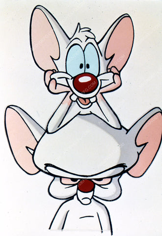animated cartoon characters TV Pinky and the Brain 35m-6681