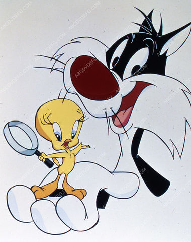 animated characters Tweety Bird & Sylvester 35m-6687