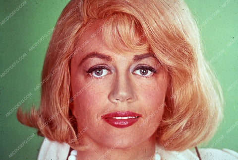 Dorothy Malone portrait 35m-7852